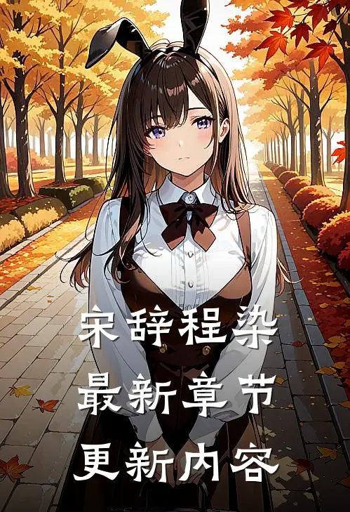 宋辞程染最新章节更新内容