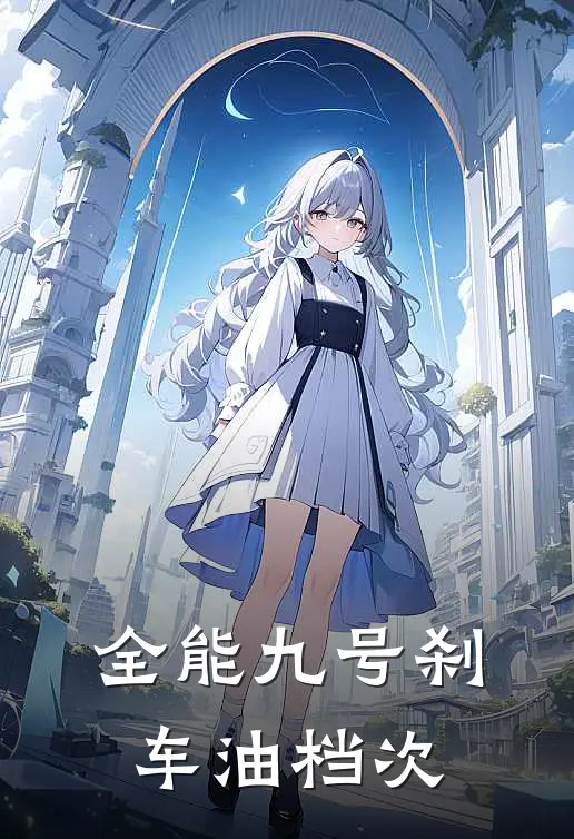 全能九号刹车油档次