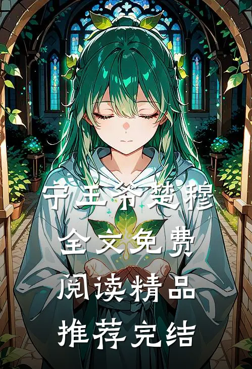 宁王爷楚穆全文免费阅读精品推荐完结