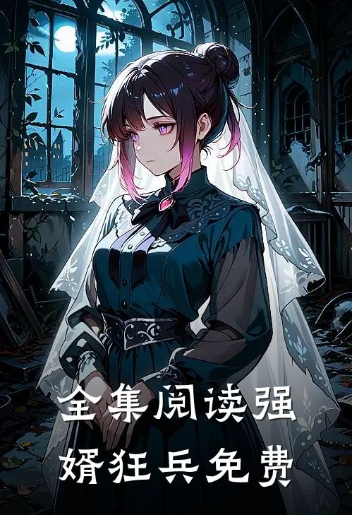 全集阅读强婿狂兵免费