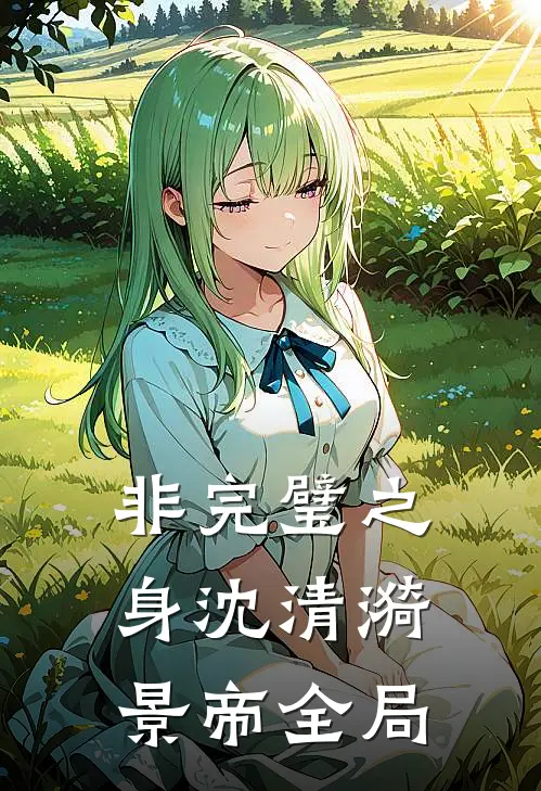 非完璧之身沈清漪景帝全局