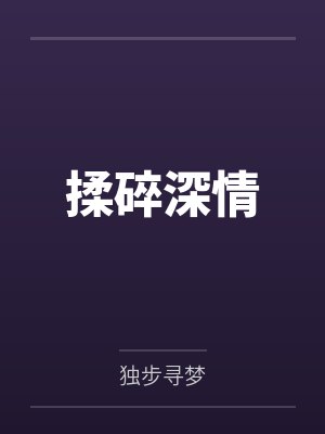 揉碎夜的光歌曲 揉碎夜的光歌曲