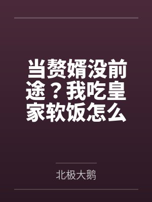 赘婿当家李平安 赘婿当家李平安