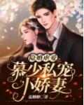 闪婚甜妻慕少温尔晚慕言深 闪婚甜妻慕少温尔晚慕言深