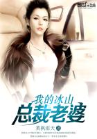 我的冰山总裁老婆叶雄txt下载 我的冰山总裁老婆叶雄txt下载