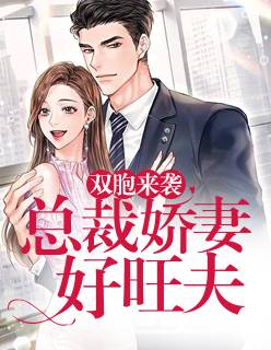 总裁的双胞胎生了 总裁的双胞胎生了