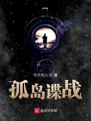 孤岛谍战简介 孤岛谍战简介